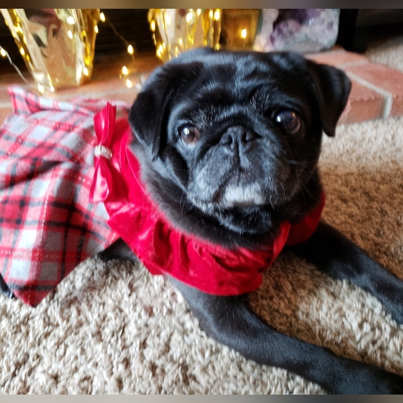 Meet your Posher, Stephanni - Picture 5 of 16